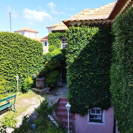 Sea Villa Rosa Charm Seaside And Garden Porto Dış mekan fotoğraf